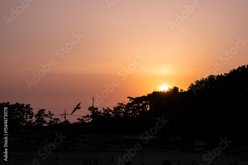 The sunset and horizon from the beach, and the view of seagull flying over the beach