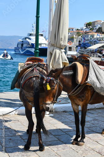 Fototapeta Naklejka Na Ścianę i Meble -  Hydra, Greece