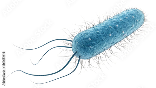 A detailed 3d rendering of a single blue bacillus bacteria with flagella is isolated on a white background