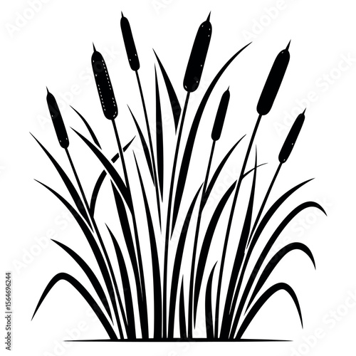 Black cattails and reeds marsh wetland