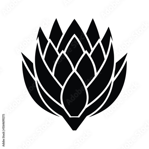 Elegant protea flower blossom detailed black silhouette vector illustration