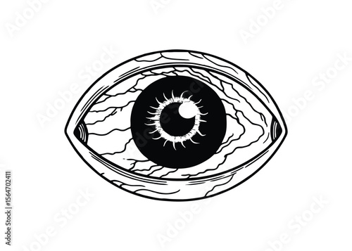 Silhouette of eyeball with veins isolated on a white background