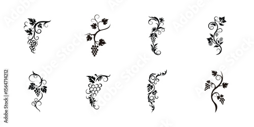 Set of artistic grapevine silhouettes with delicate swirling tendrils and natural leaves, ideal for winery branding, packaging, decor, and illustration use

