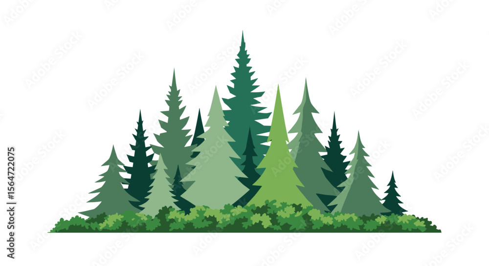Obraz premium A Diverse Forest of Pine and Evergreen Trees