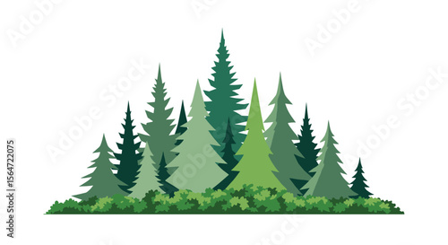 A Diverse Forest of Pine and Evergreen Trees