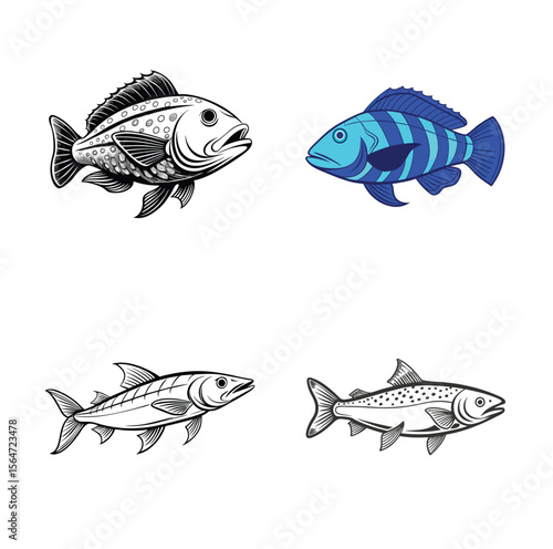  Atlantic Goliath Grouper, Blulehead Wrasse, Chilean Common Hake, Chinook Salmon