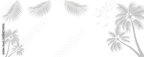 palm trees shadow panoramic frame over white (transparent) background