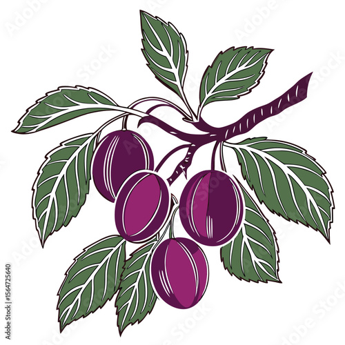 Vibrant plum tree icon, deep purple fruits on green leaves, a simple juicy design.