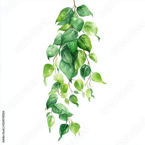 Watercolor Hanging Greenery Illustration , PNG isolated cut out image