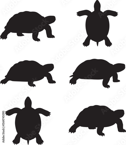 Collection of Turtle Silhouettes in Various Poses