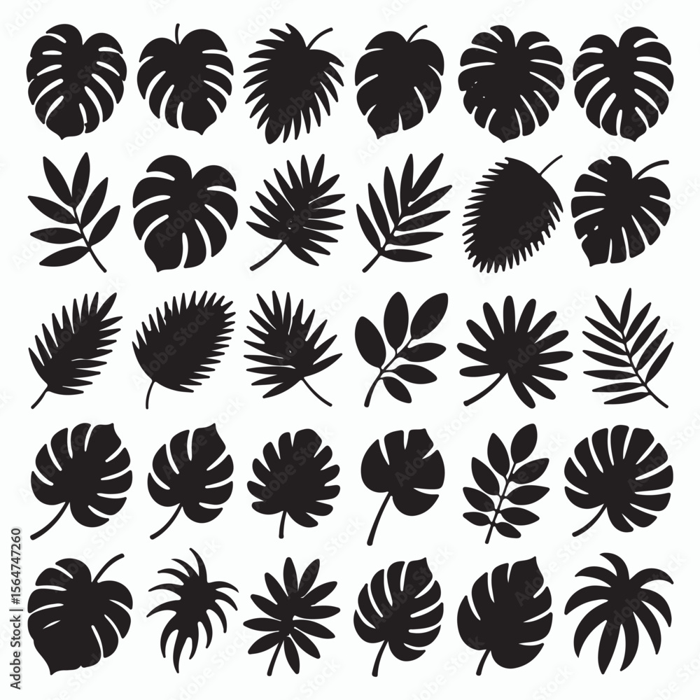 Tropical Leaf Silhouettes Vector Set – Black Botanical Clipart Collection
Tropical Leaf Silhouettes Vector Set – Black Botanical Clipart Collection