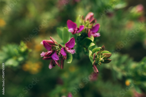 Wallpaper Mural New garden flower plants grown in spring season Torontodigital.ca