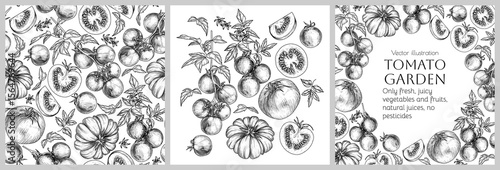 Vector illustration of tomato. Set of seamless pattern, collection of elements and frame with vegetable. Decoration for packaging, labels, brochures