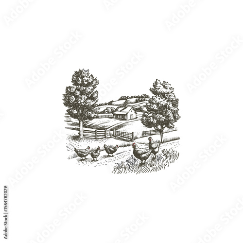 chicken farms in rural areas design vector template vintage engraving illustration