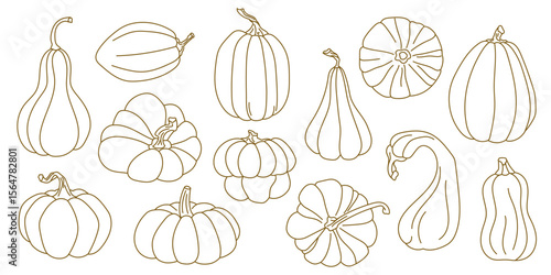 Set of hand-drawn outline pumpkins in elegant linear style Autumn vegetable collection with different squash and gourd shapes Ideal for cards, prints, packaging, farm market labels, Thanksgiving decor
