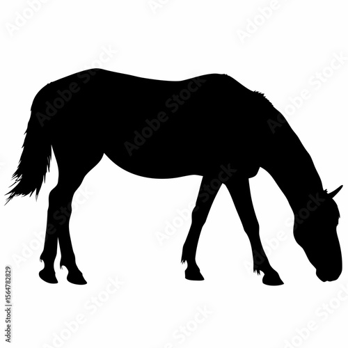Silhouette of a horse grazing with its head down in a pasture on a white background drawing equine created with generated ai