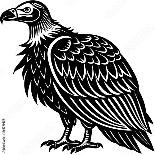 Black and white vulture illustration strong graphic style fierce predatory bird majestic powerful design