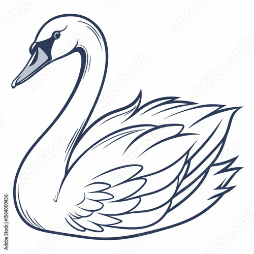 Elegant Line Art Swan Illustration Graceful Bird Design Vector Graphic White Background