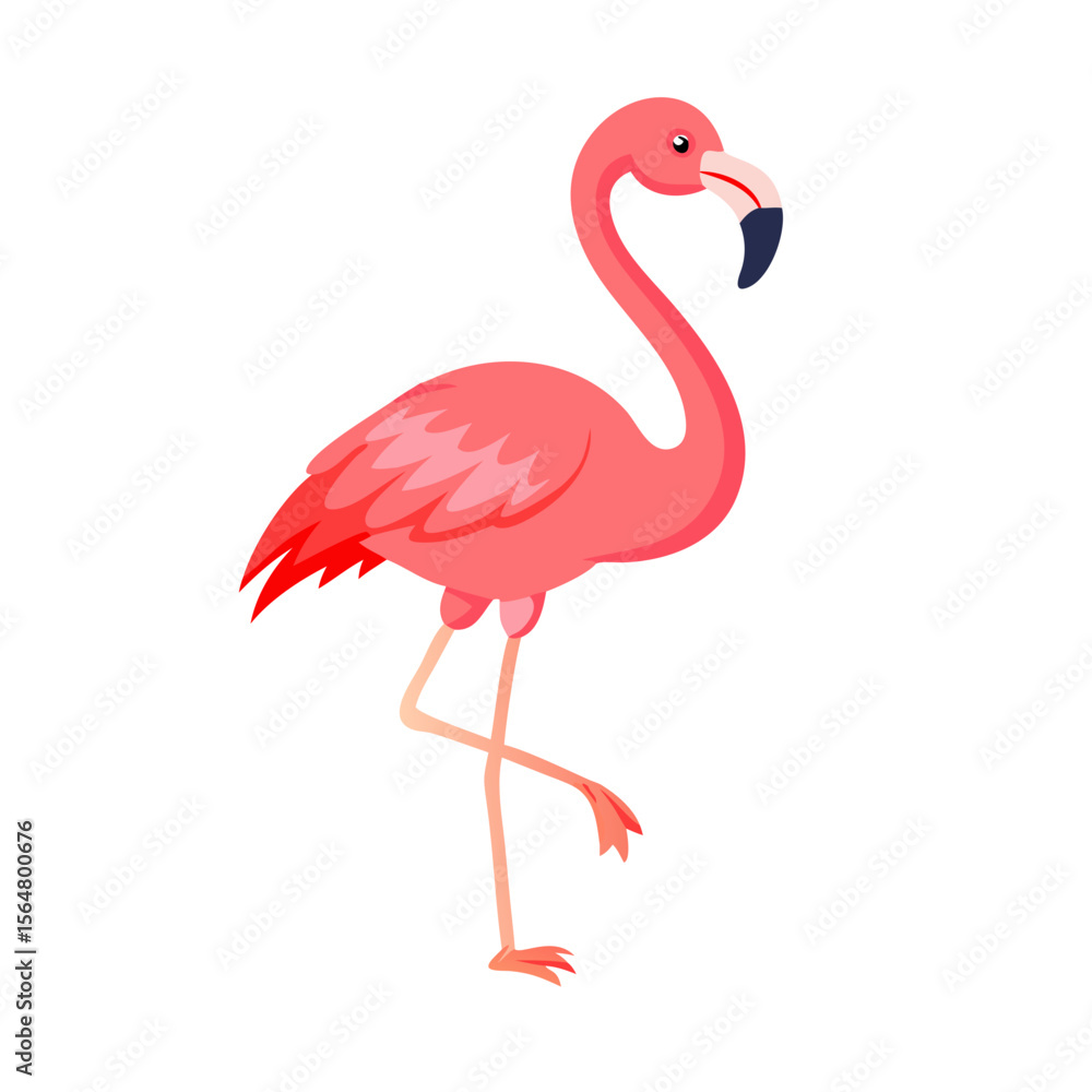 Pink Flamingo Cartoon Illustration Tropical Bird Graphic Design Element Pink Flamingo Cartoon Illustration Tropical Bird Graphic Design Element