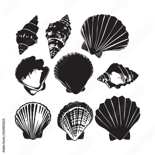 Clam Seashell Silhouette on White Background