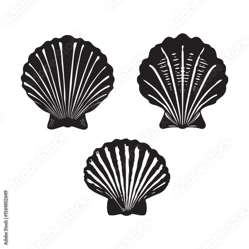 Seashell Beach Silhouette Art