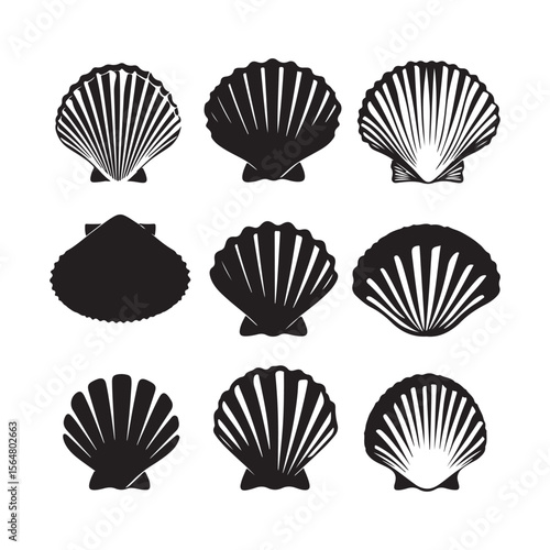 Ocean Clam Silhouette Illustration
