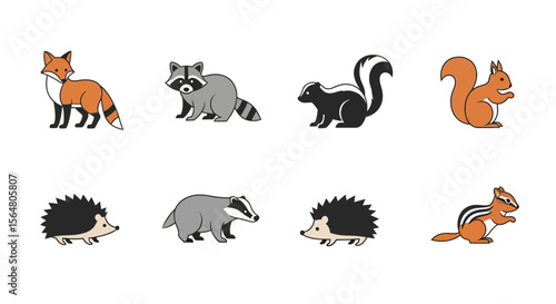 Vector illustration of forest animals fox raccoon skunk squirrel hedgehog badger chipmunk wildlife nature drawing art