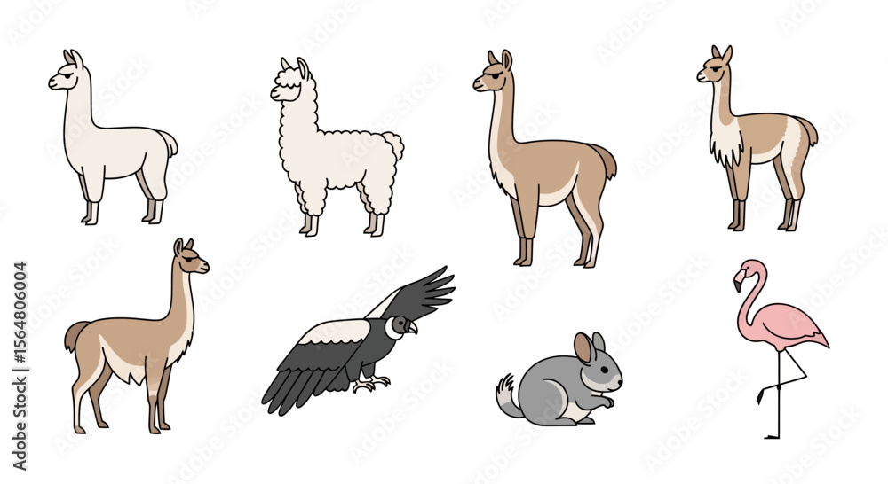 Fototapeta premium Vector illustration of south american animals llama guanaco andean condor chinchilla flamingo wildlife art drawing