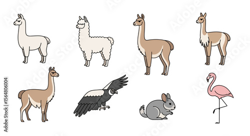 Vector illustration of south american animals llama guanaco andean condor chinchilla flamingo wildlife art drawing