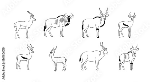 Vector antelope species line art vector illustration featuring kudu springbok and wildebeest outline graphics design