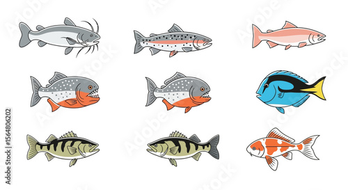 Vector illustration of diverse fish species catfish trout piranha tang perch and koi fish aquatic life drawing