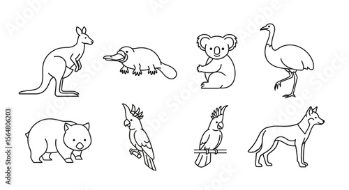 Vector australian animals line art illustration featuring kangaroo koala emu platypus wombat dingo and cockatoo icon set