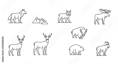 Vector wildlife animal line art illustration vector design featuring wolf lynx moose deer bison bear and mountain icon