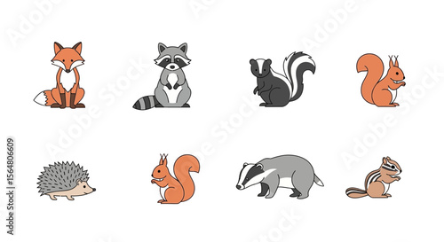 Vector cute woodland animals illustration featuring fox raccoon skunk squirrel hedgehog badger and chipmunk art