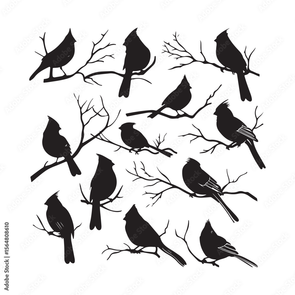 Fototapeta premium Cardinal Birds Silhouettes Set Clipart on White Background