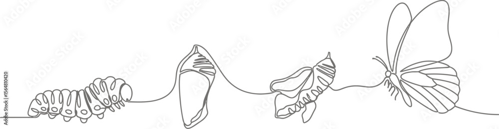 Naklejka premium Line art showing the life cycle of a butterfly from larva to insect