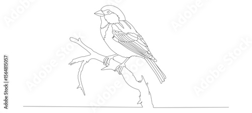 continuous line vector design of a bird perched on a tree branch