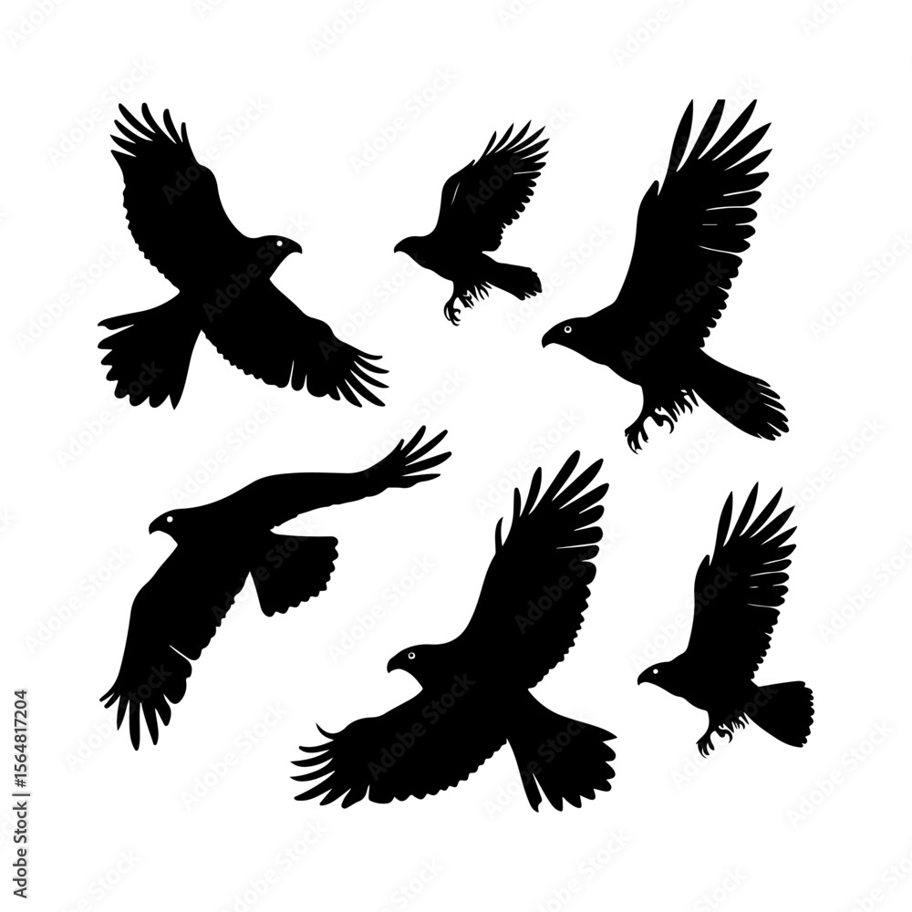 Fototapeta premium Hawk Bird Flying Silhouettes Set Clipart White Background