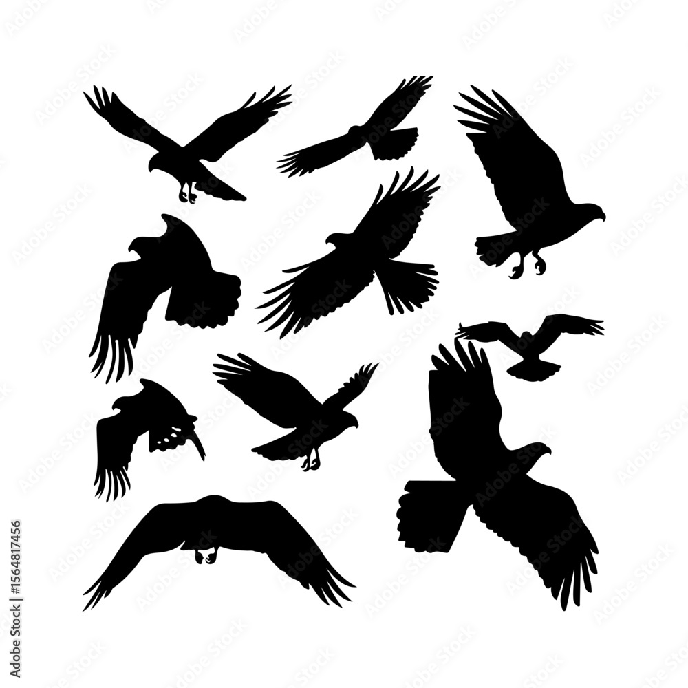 Obraz premium Hawk Silhouette Vector Set Flying Birds Clipart