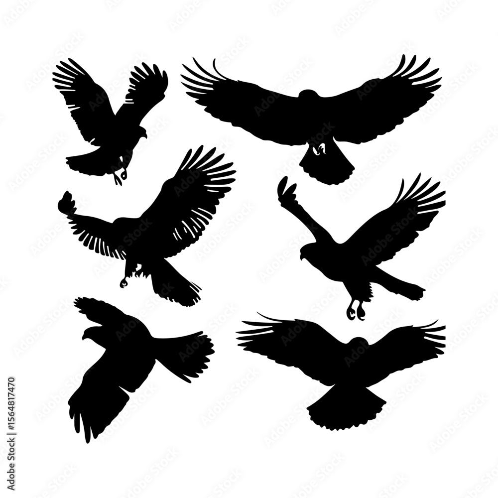 Obraz premium Hawk Bird Outline Silhouettes Set Clipart
