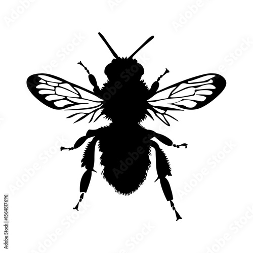 Honey Bee Silhouette Clipart White Background