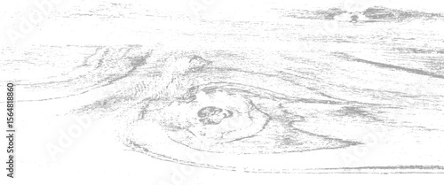 Vector distressed wood scratch lines grunge effect with a transparent background