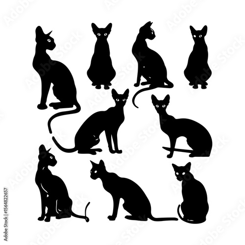 Peterbald Cat Body Shape Silhouette Clipart Set