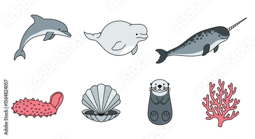 Vector ocean life illustration featuring dolphin, beluga whale, narwhal, sea cucumber, shell, otter and coral reef