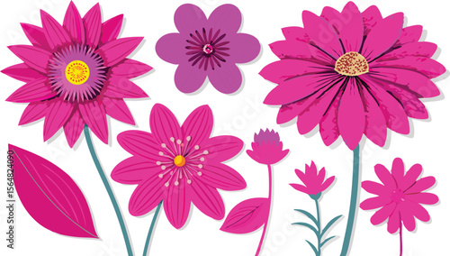 Vibrant Pink Flowers A Collection of Floral Illustrations