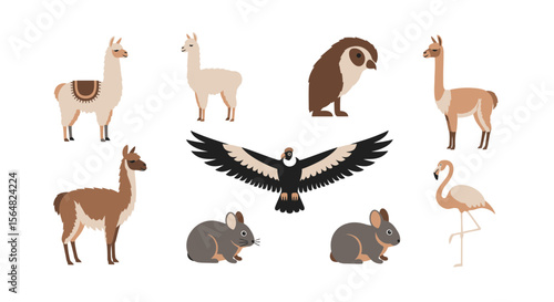 Vector illustration of south american animals llama condor flamingo owl andean rabbit wildlife vector design