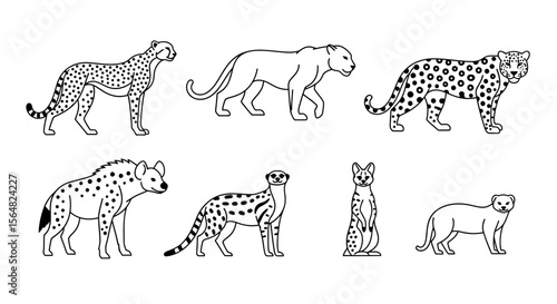 Vector vector illustration of african wildlife animals cheetah leopard hyena meerkat serval and weasel outline art