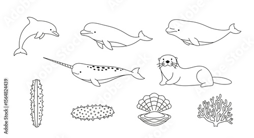 Vector ocean animals coloring page for kids, sea life outline drawing, dolphin, narwhal, otter, coral, shell vector