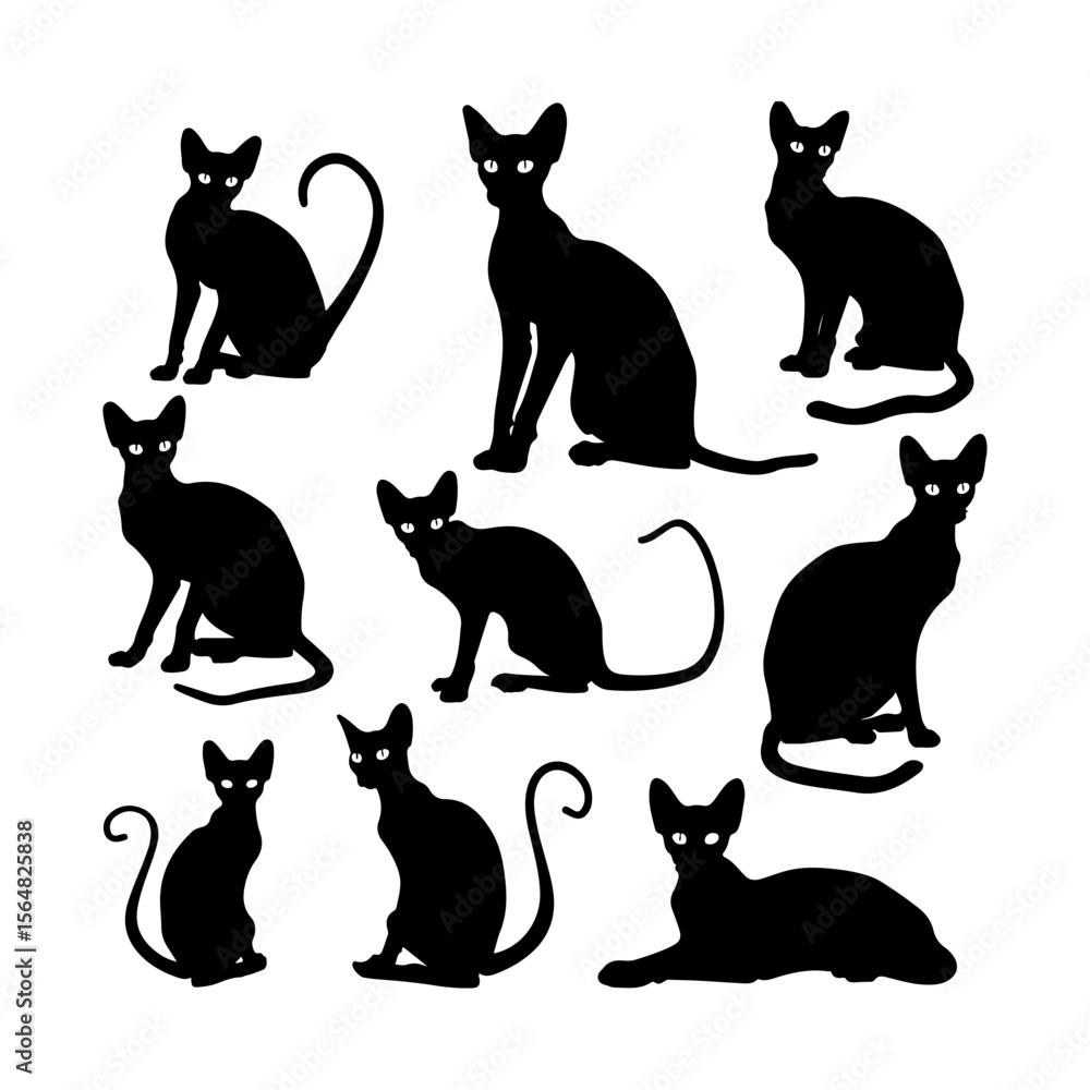 Set of Peterbald Cats Silhouette Vector Isolated Illustration Set of Peterbald Cats Silhouette Vector Isolated Illustration