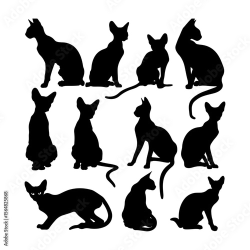 Set of Peterbald Cats Silhouette Vector Isolated Illustration